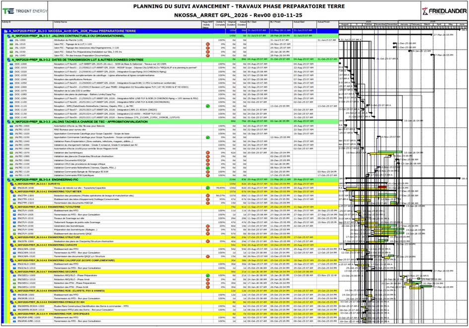 Planning Primavera P6