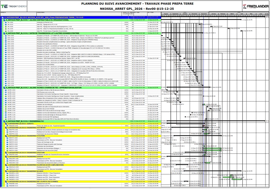 Planning Primavera P6