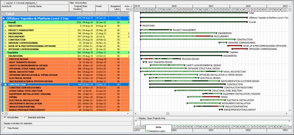 Planning Primavera P6
