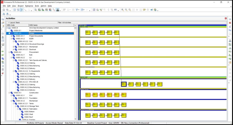 Planning Primavera P6