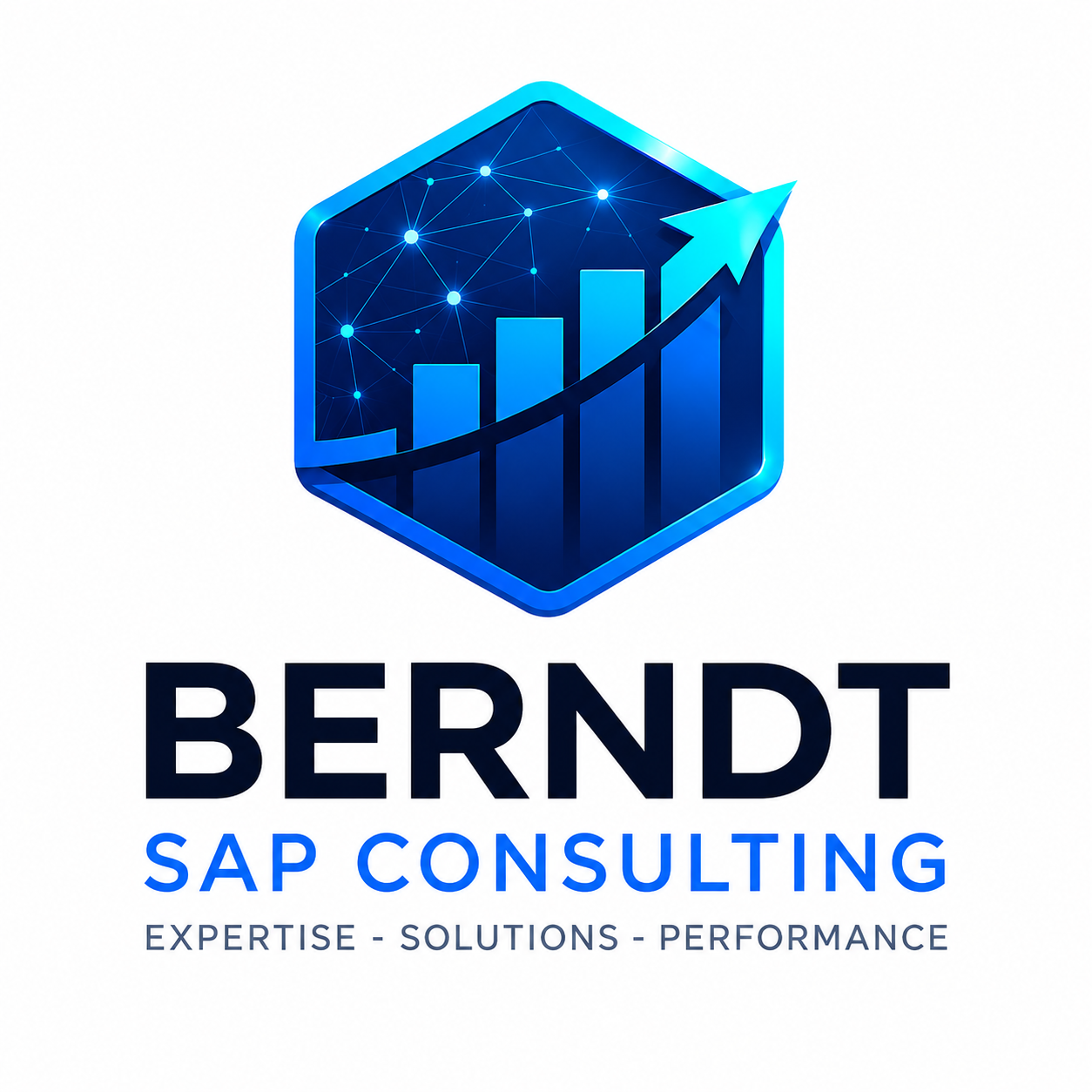 SAP CONSULTING