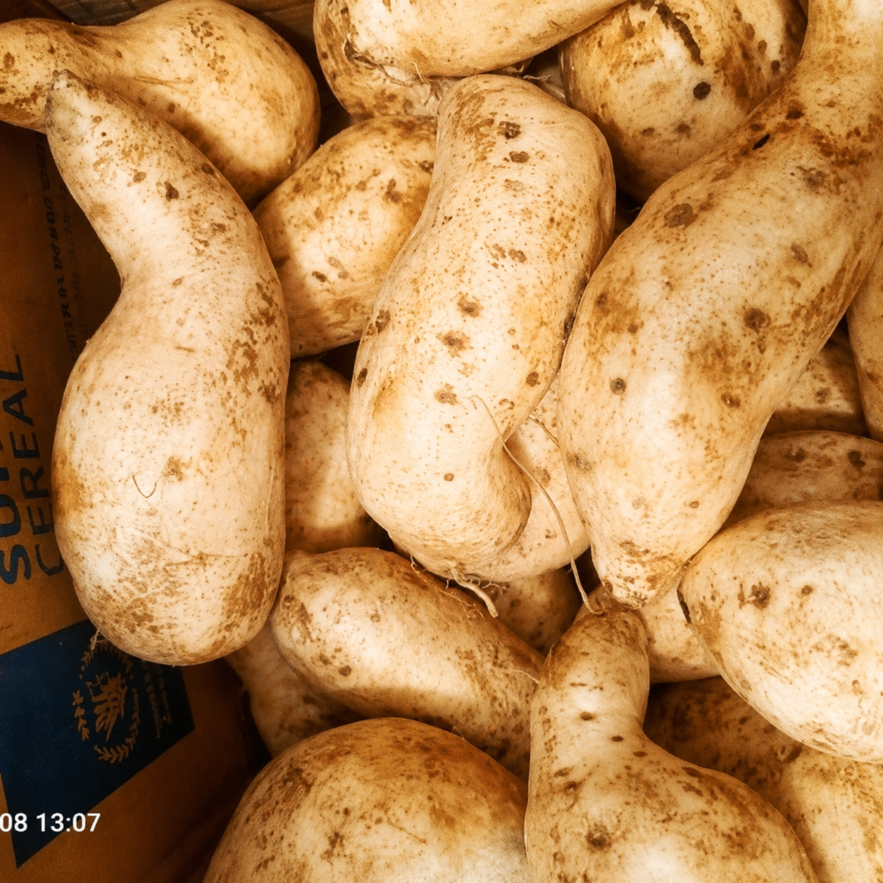 Moungo Sweet Potato 1 kg