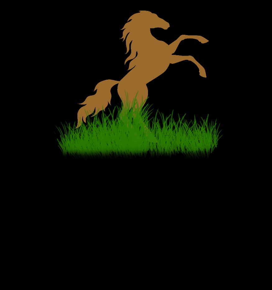 Sol Beni Prod & Musa Calmey